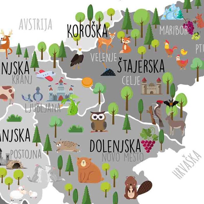 Otroški zemljevid Slovenije siv