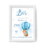 Grafika z rojstnimi podatki - dino