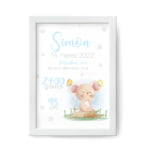 Grafika z rojstnimi podatki - miška